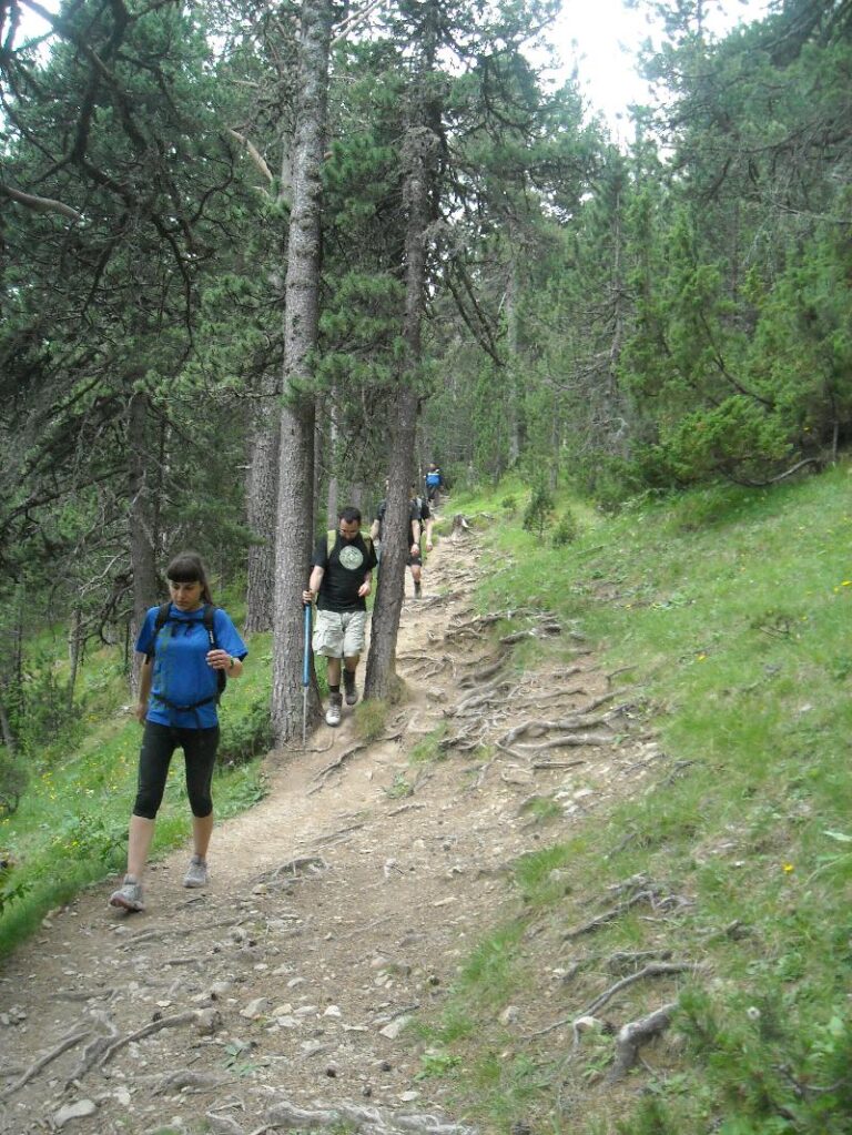 apropantse al refugi