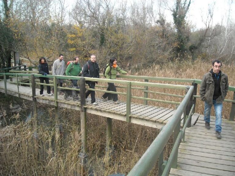 aiguamolls del emporda