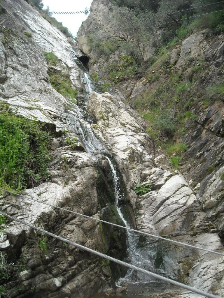 Torrent de Salenys