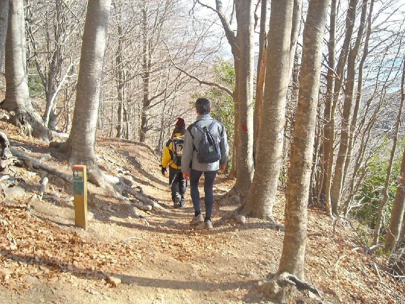 Turo del Home i Agudes