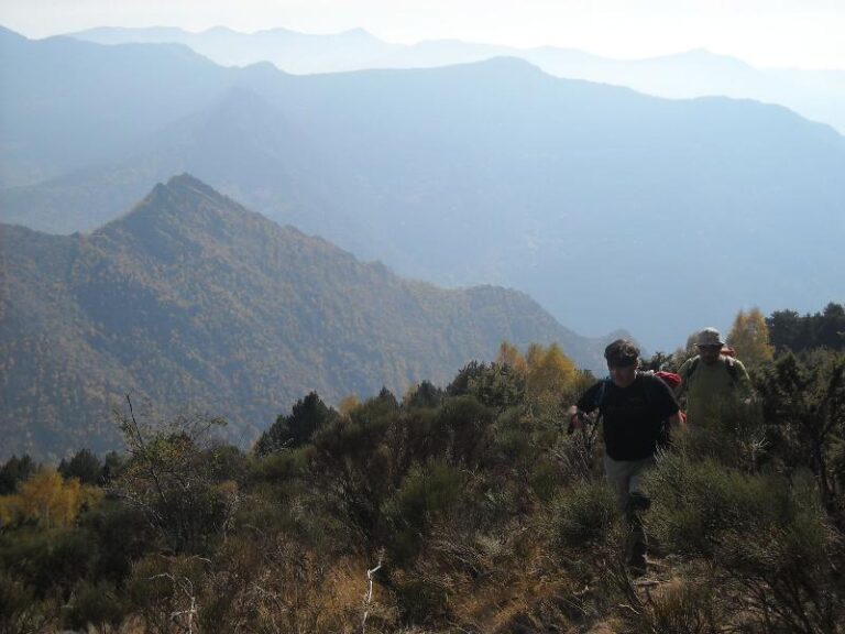 Acompanyats per la brama dels cervols