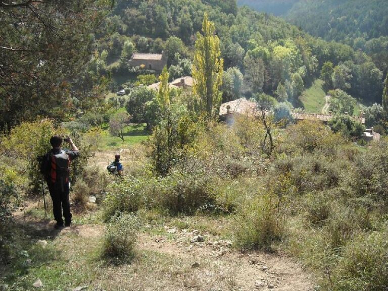 arribant a greixer, final del cami