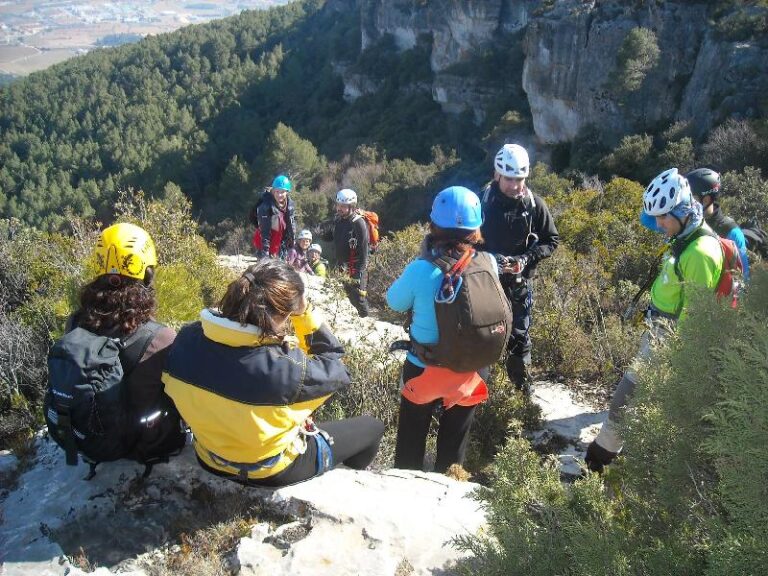 Organitzant la tornada