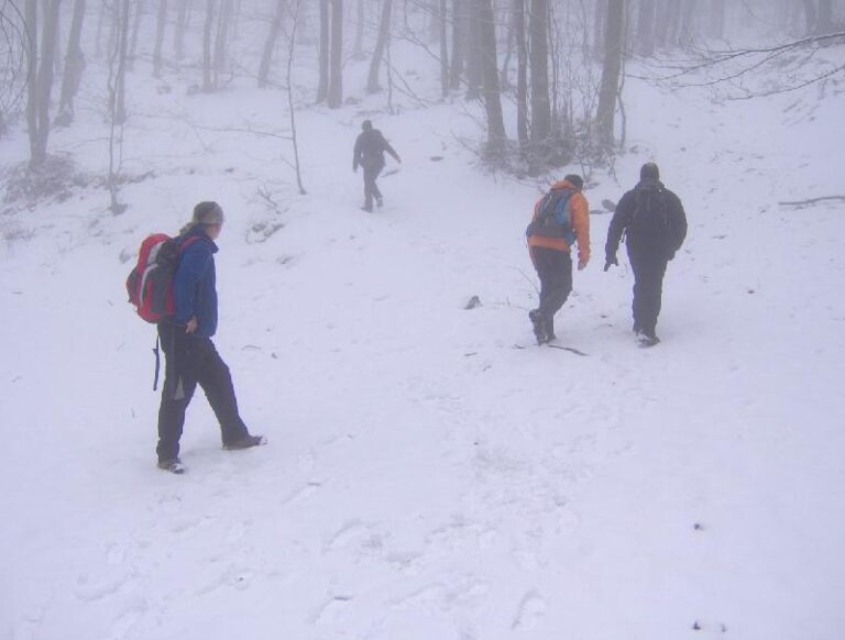 Enfilant cap el Coll Pregon