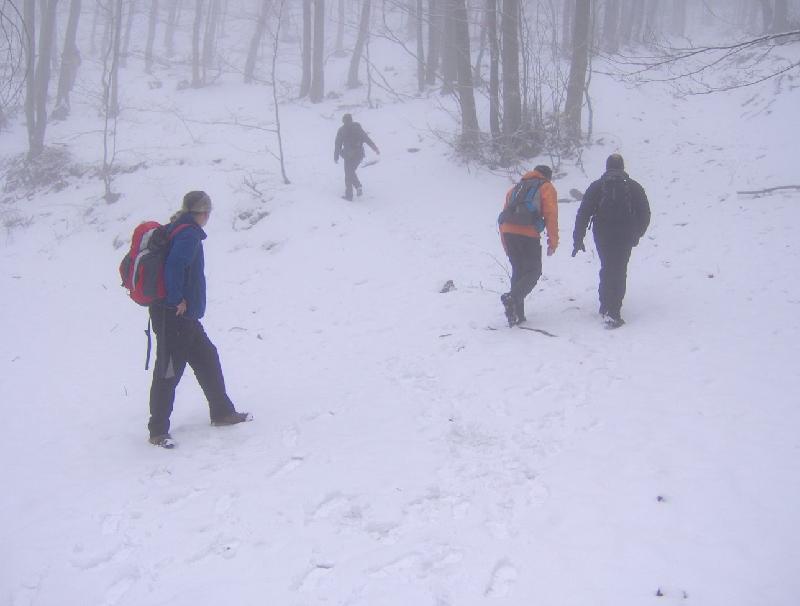 Enfilant cap el Coll Pregon