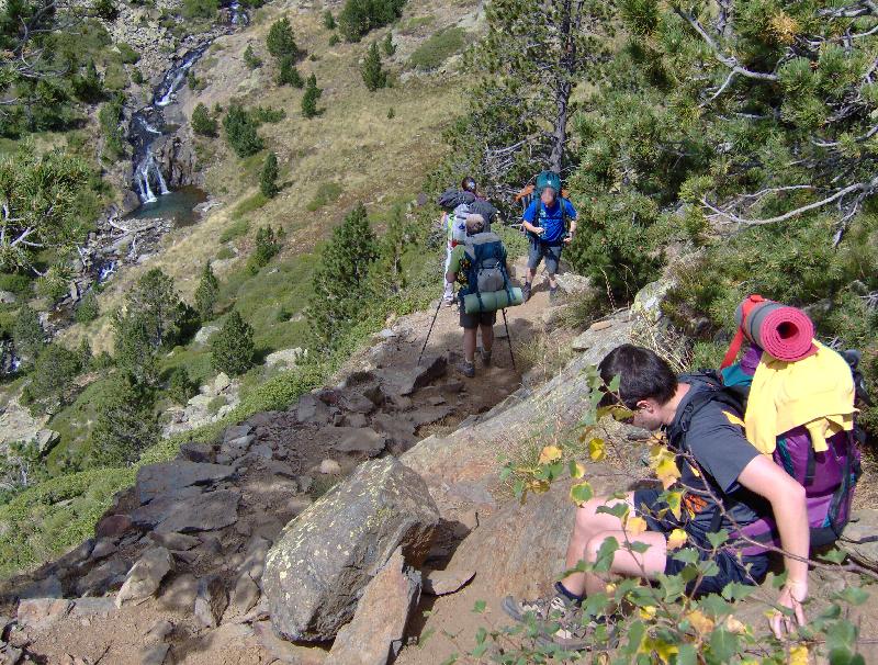 per les pales de areste