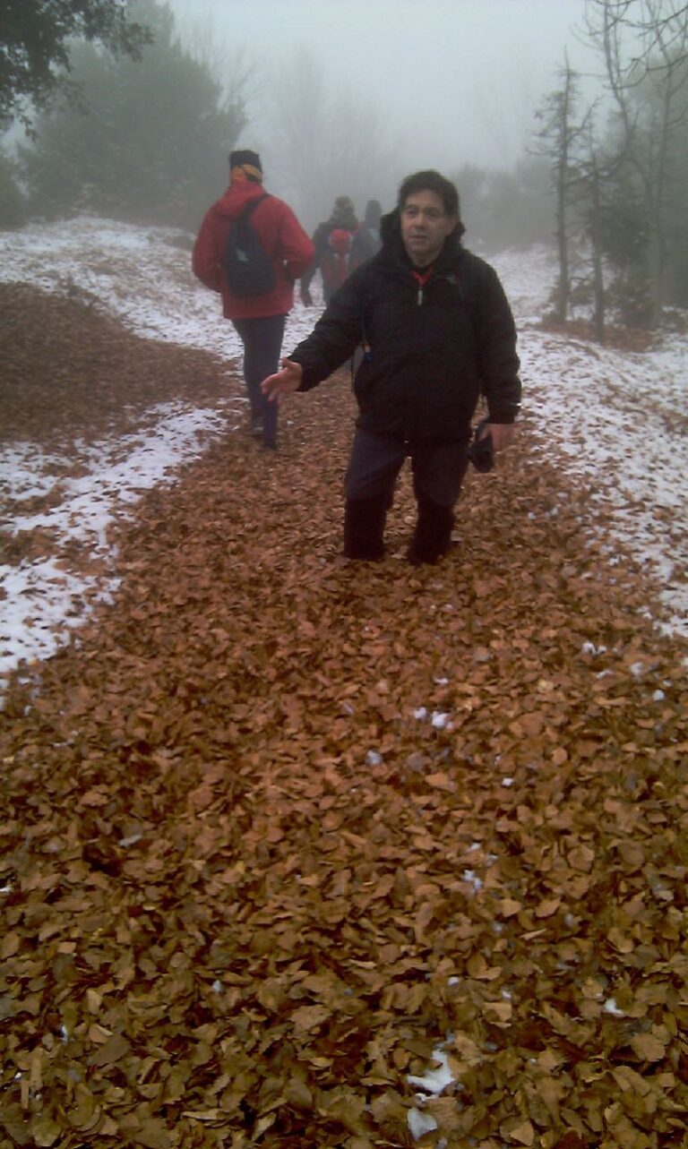 Tipic cami del Montseny