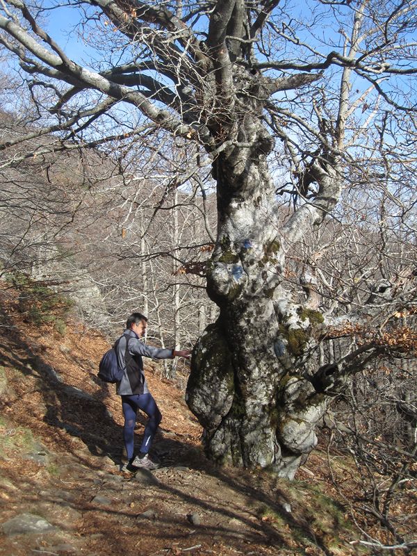 Turo del Home i Agudes