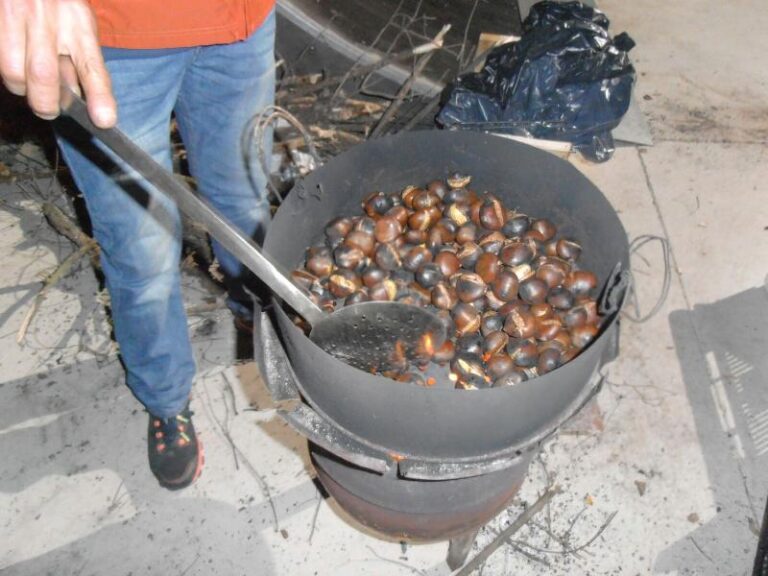 castanyada 15