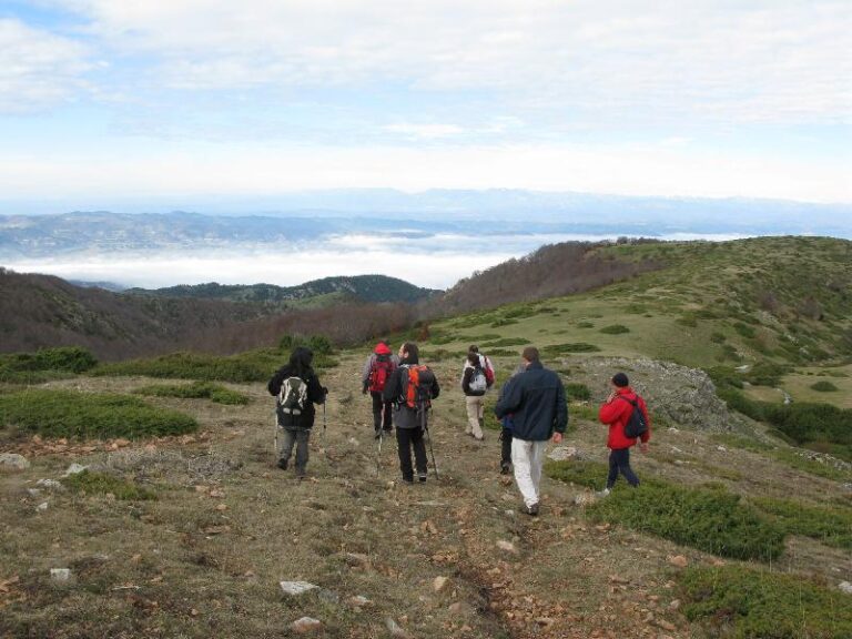 Pel Pla de les Saleres Velles