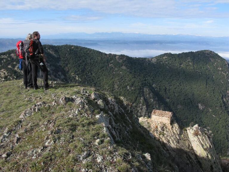 Observant Sant Miquel dels Barretons