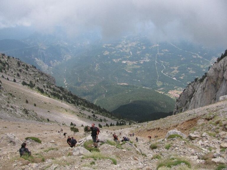 baixant per la tartera