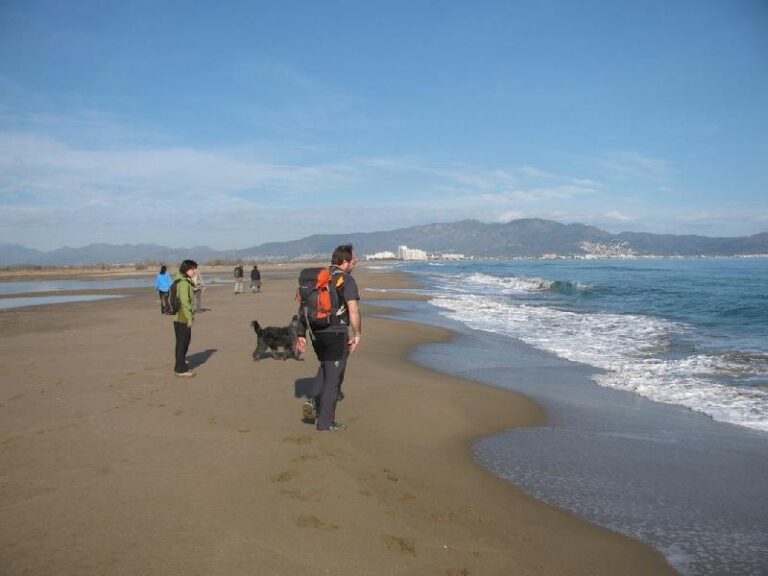aiguamolls del emporda