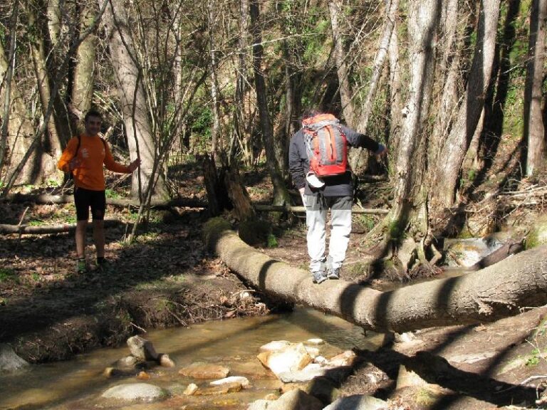 Cami del Castell de Montsoriu