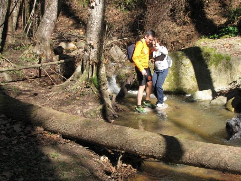 Cami del Castell de Montsoriu