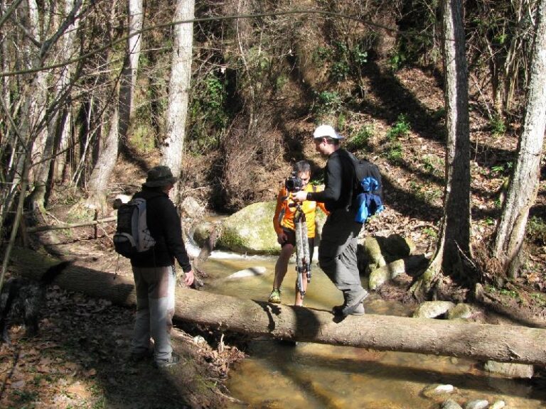 Cami del Castell de Montsoriu