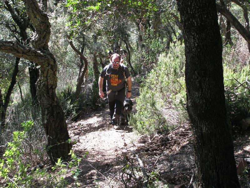 Cami del Castell de Montsoriu