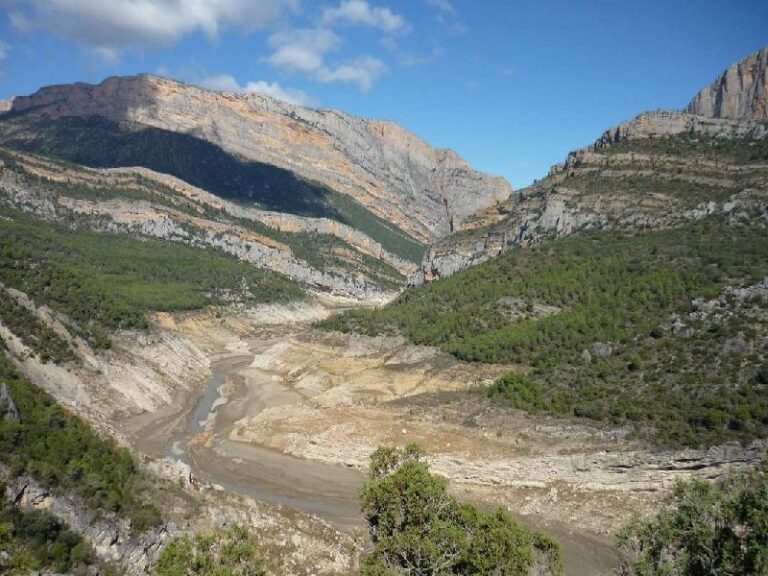 Pareds de arago i de catalunya