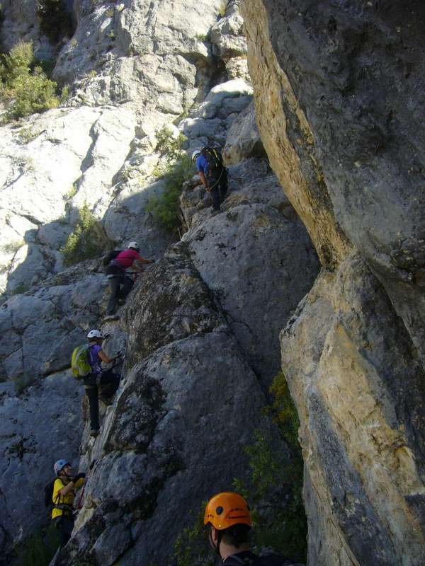 inici de la Tele-Tubbies