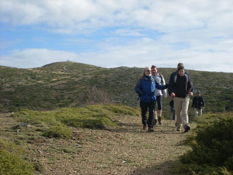 Prop el Pla de les Saleres Velles