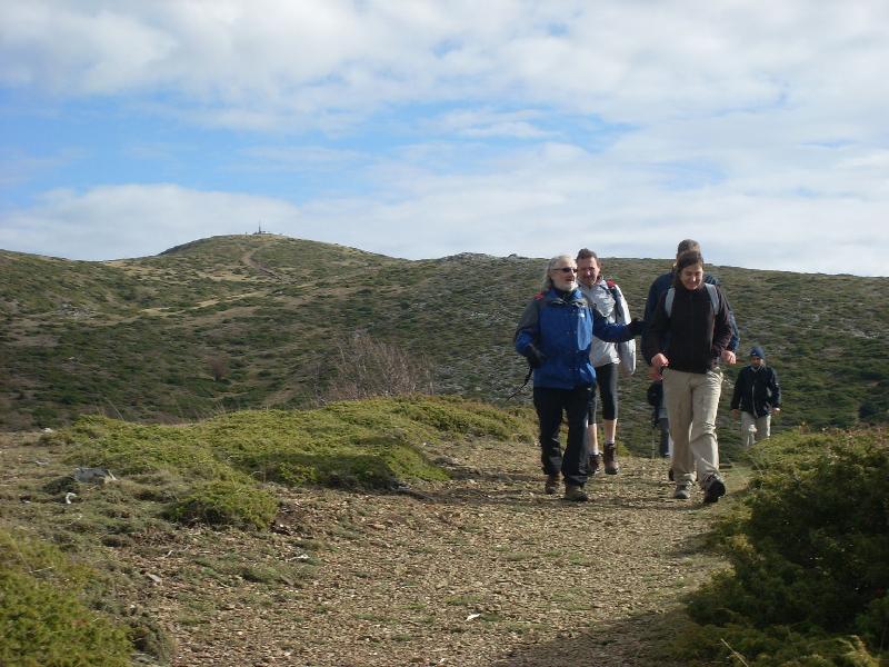 Prop el Pla de les Saleres Velles