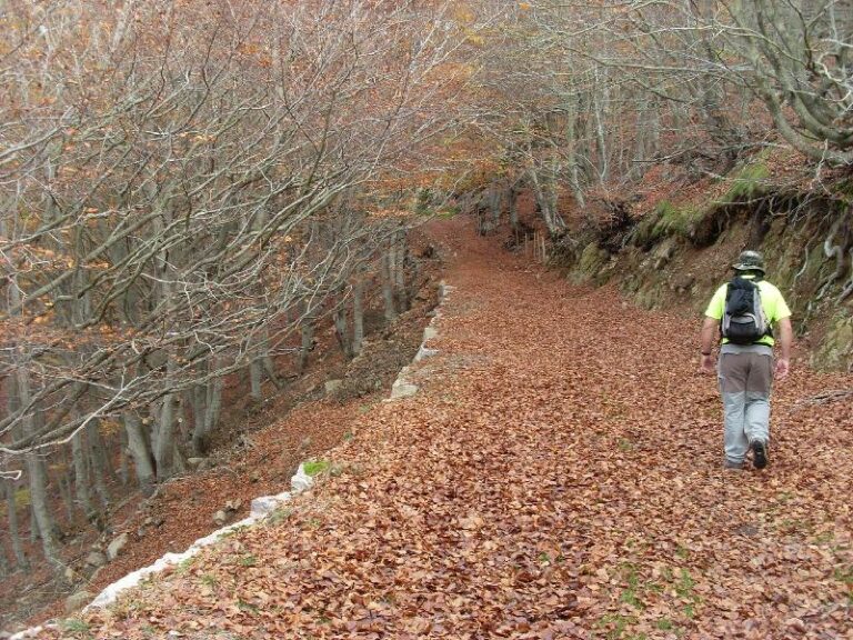 Entrada a Sant Segimon