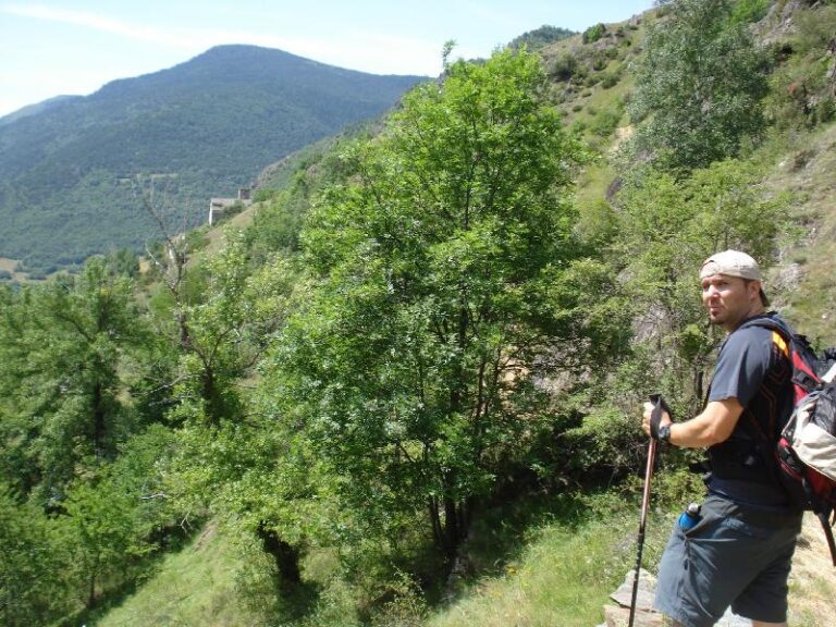 Divisant les primeres cases d'Estaon