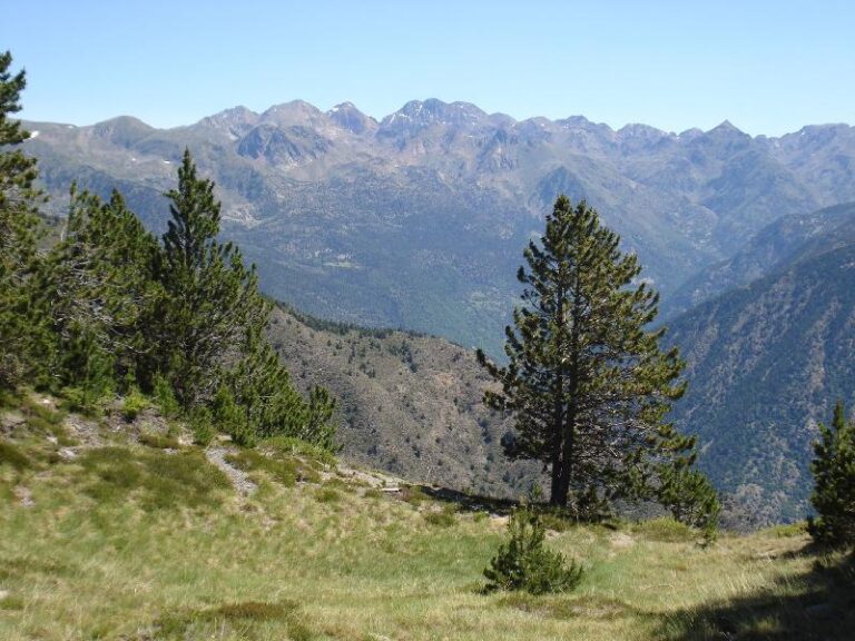 Panoramica Pica Estats