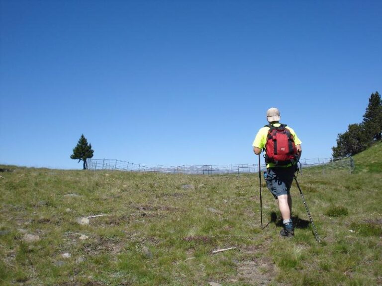 Arribant al Coll de Tudela