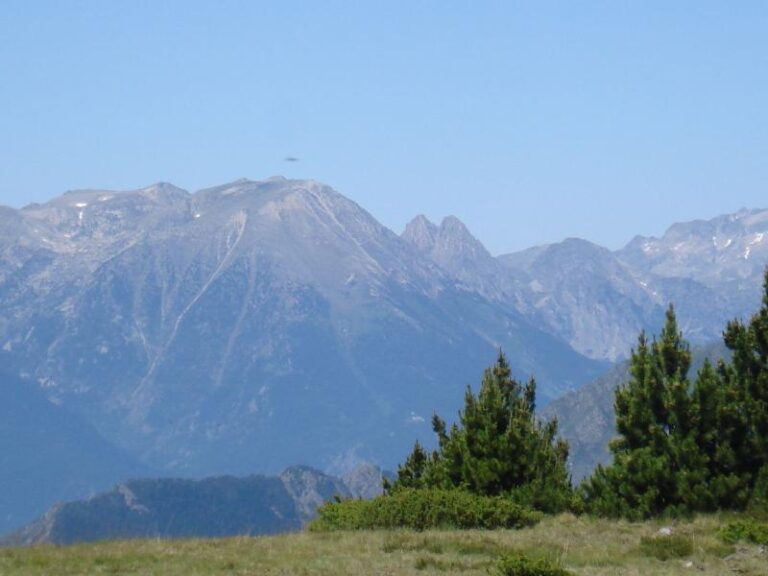 Visio del Encantats al Parc de Sant maurici