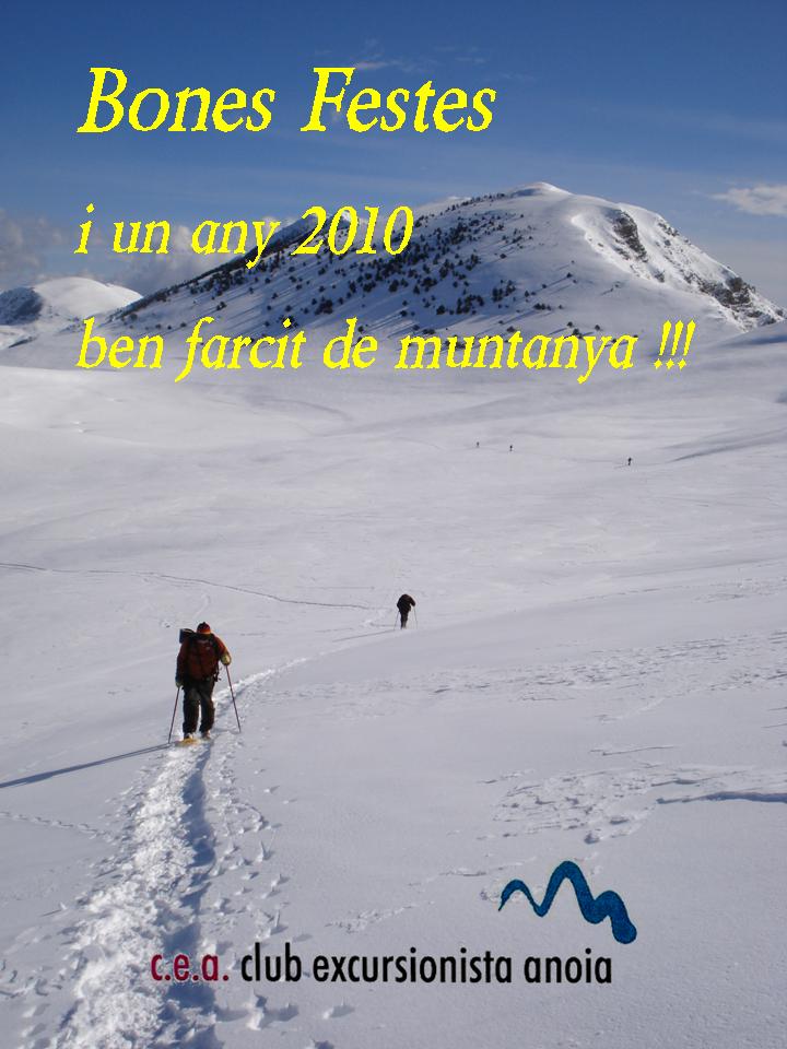 felicitacio nadal 2010