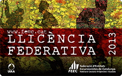 logo.llicencies.FEEC.2013