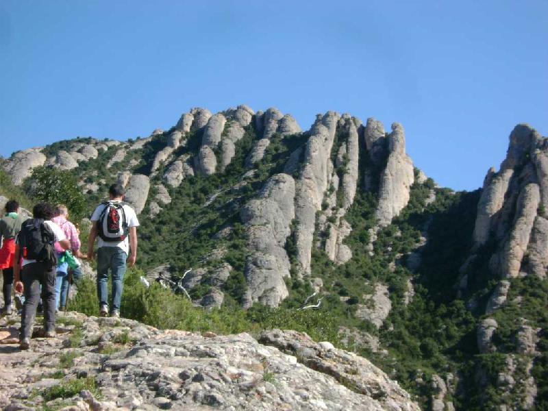 Fotografia premiada en 1er lloc