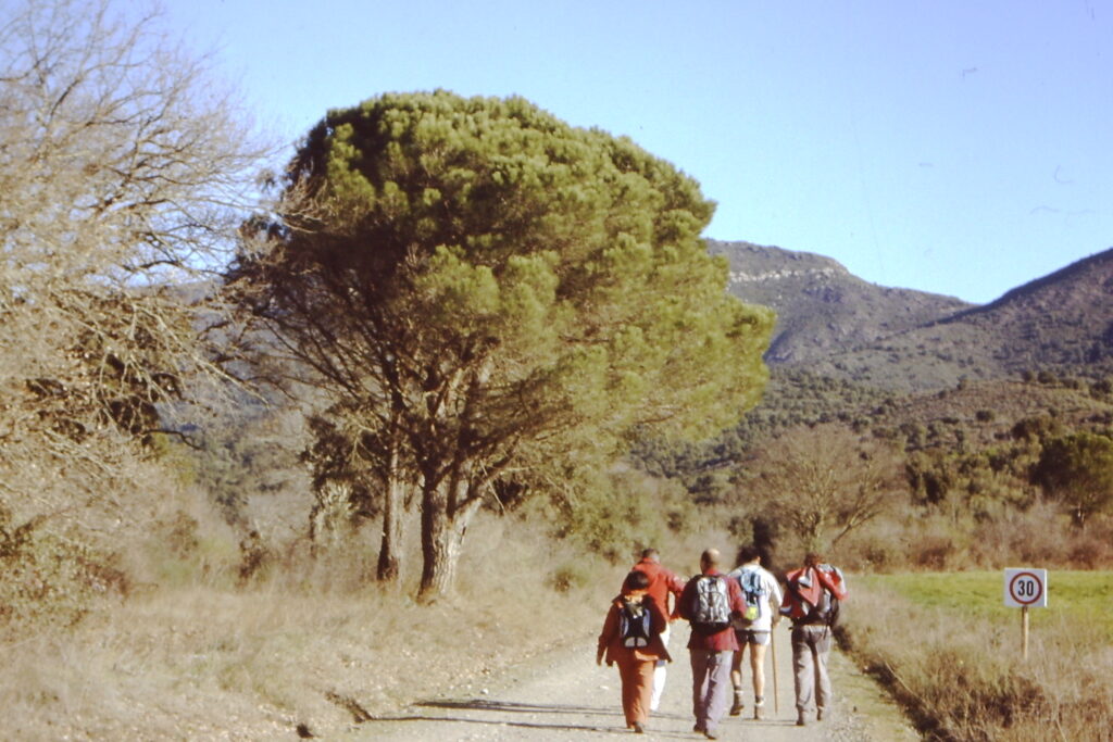 My beautiful picture