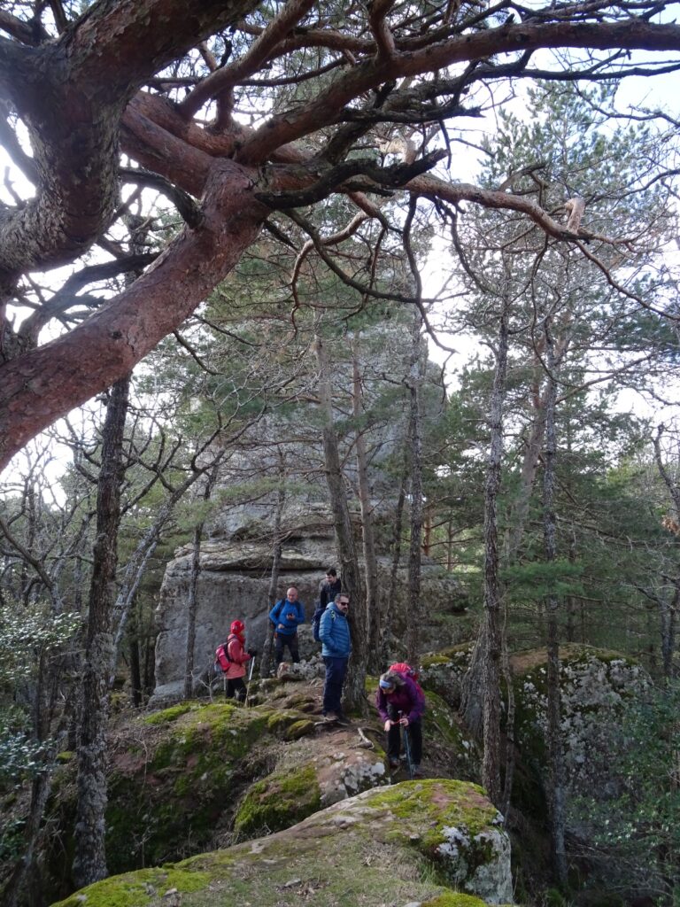 WhatsApp Image 2026-02-08 at 15.05.19