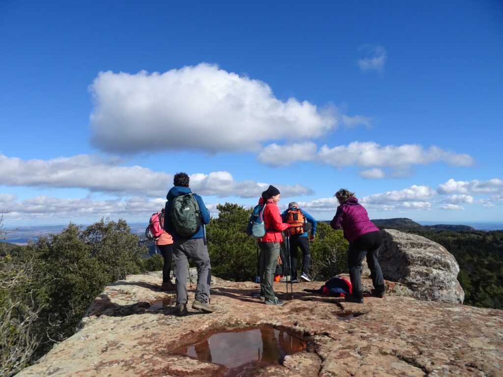 WhatsApp Image 2026-02-08 at 15.05.24