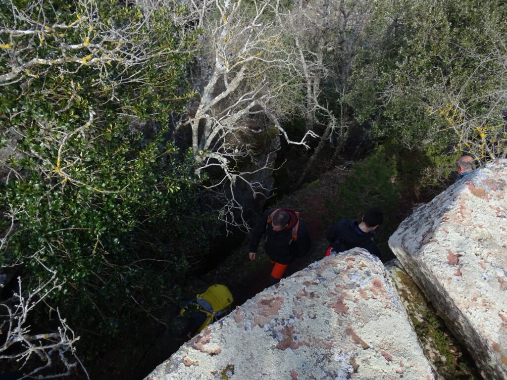 WhatsApp Image 2026-02-08 at 15.05.26